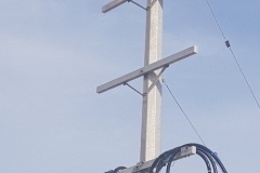 36